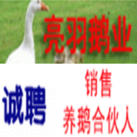 泗陽縣亮羽畜禽養(yǎng)殖專業(yè)合作社 logo